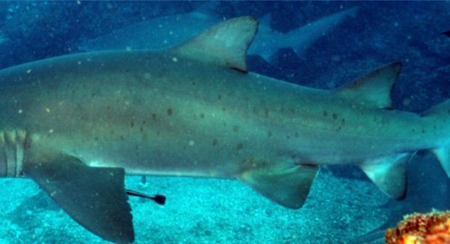 c4d6df79-8660-469d-b351-896e1b8908fc