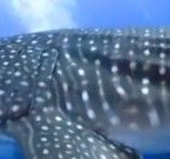 82d41551-012f-4389-aeb2-e9607706592e