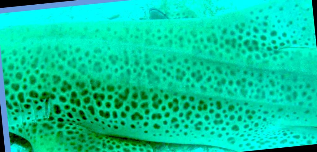 0d11dc9a-cb80-45b2-87f3-7a85b60d8c37