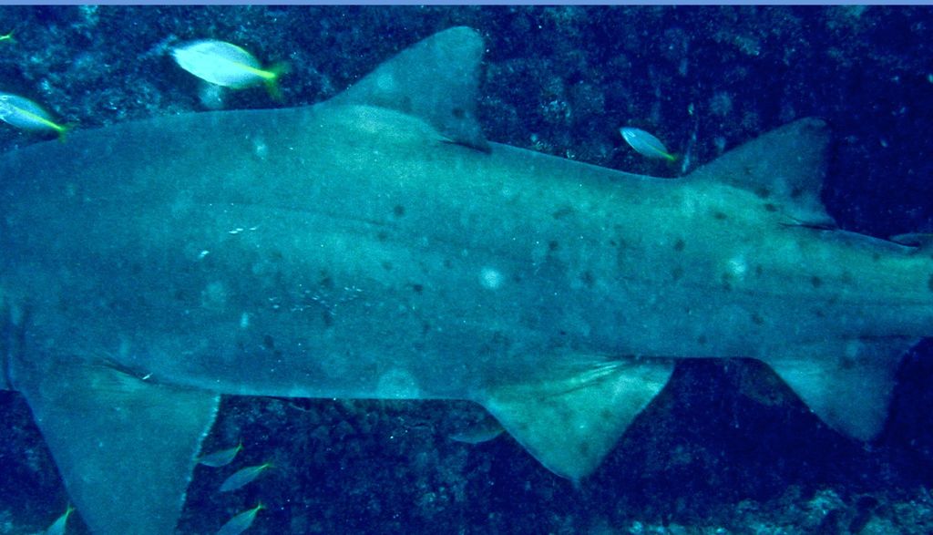 ffde7957-3eeb-48bb-b5bd-205e9c7a52ba