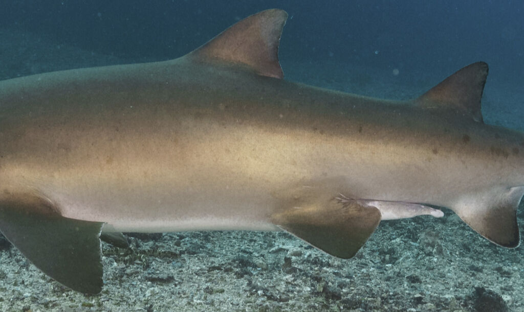 095c7b9a-3d06-4281-86d0-29bc6fcfaba7