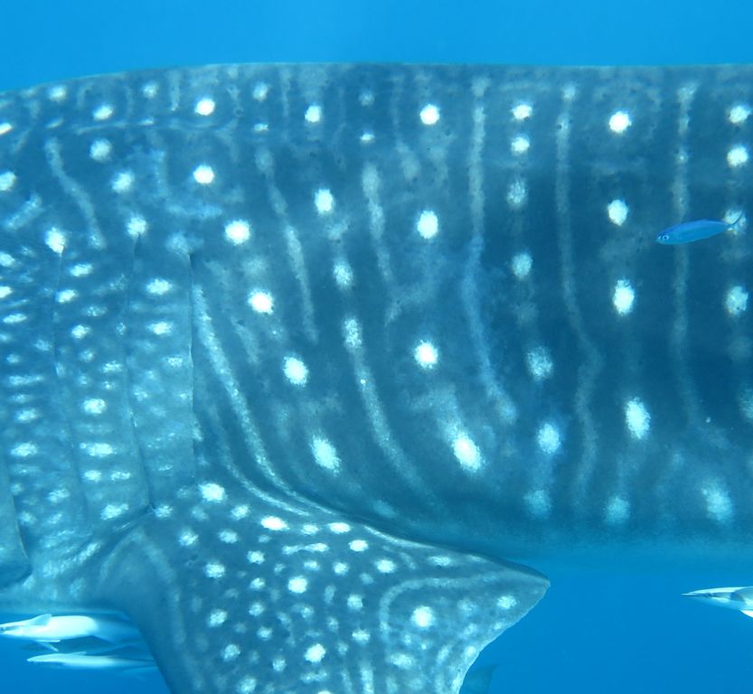 1d3d2551-66f7-48a3-a8c5-eed0ce9342fa