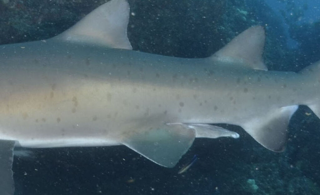 de4d74e2-7d5d-4593-83bd-fe83fcb50368