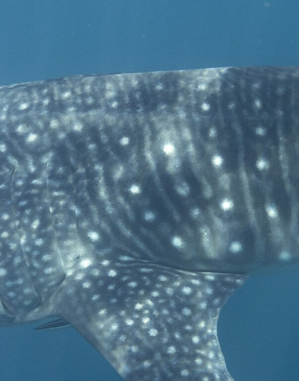 7ad38922-20b6-41d5-b584-5590c9a3fdc0