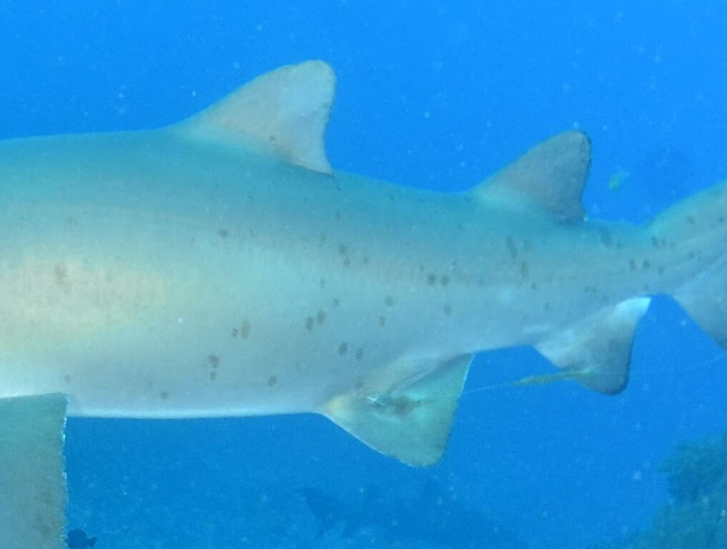 23f22487-4791-4dd0-8946-2062cd22846c