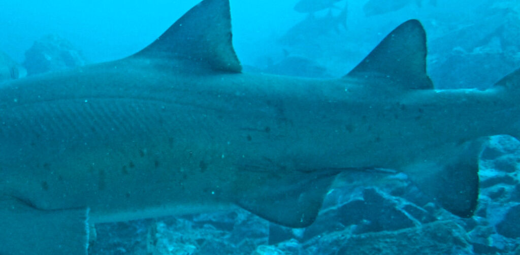 aca18686-8089-4798-98e2-c7679de6e732