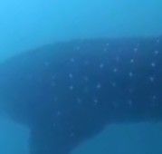 34083ef9-db98-4979-9221-b8a050fc9707