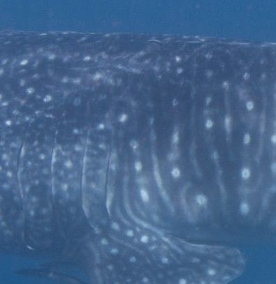 5123988d-3523-489f-9049-793b99b20436