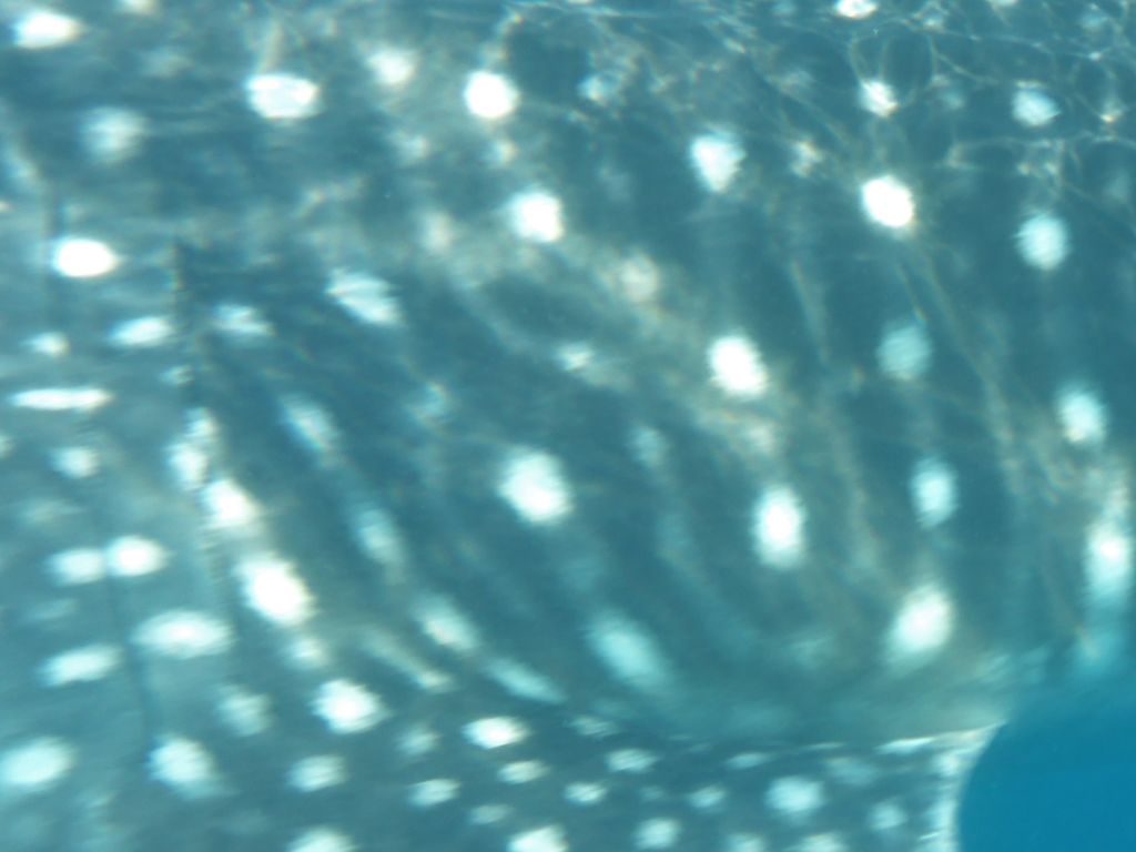 701680c9-4d9c-42d0-a3af-e917b2d9eaf3