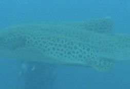 91d2a2ce-13ba-4ebe-b62b-7b579133a35e