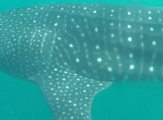 1799a662-d413-4485-a82d-03243f513bfd