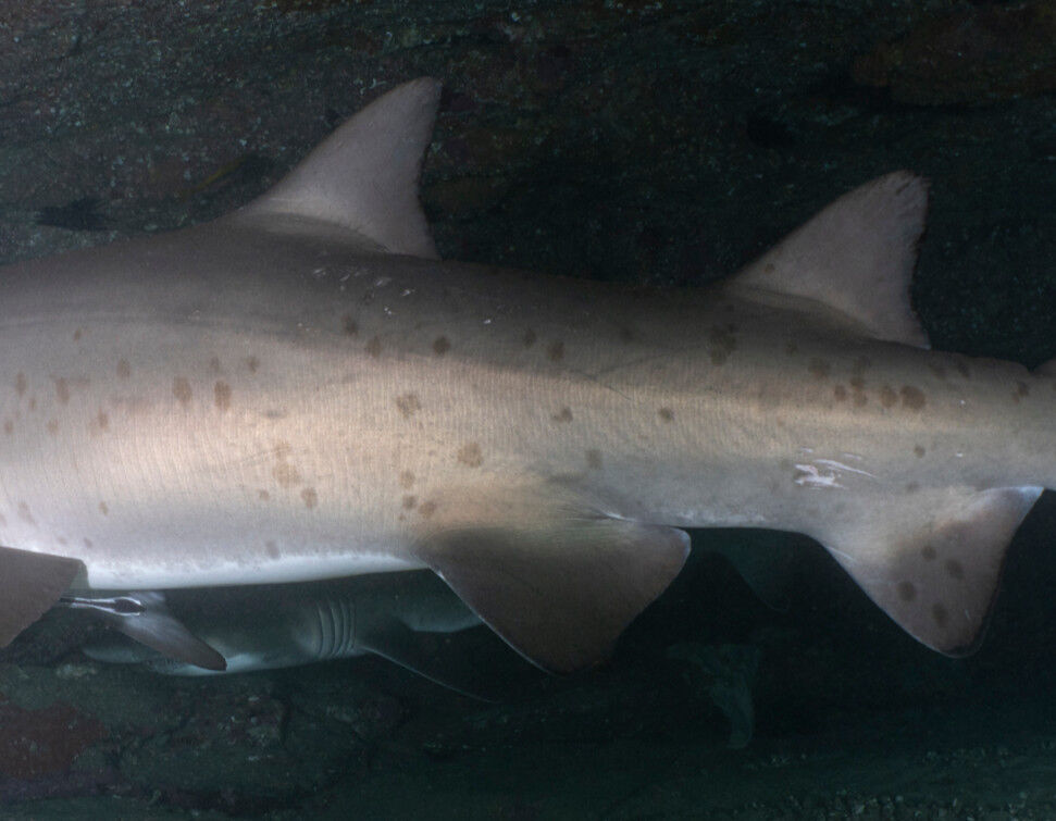 abb983cd-3a41-4f31-918d-40eaa43feb49