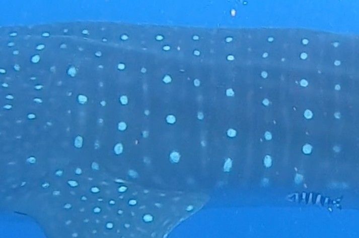 54656618-5c89-4854-94c1-5683321520aa