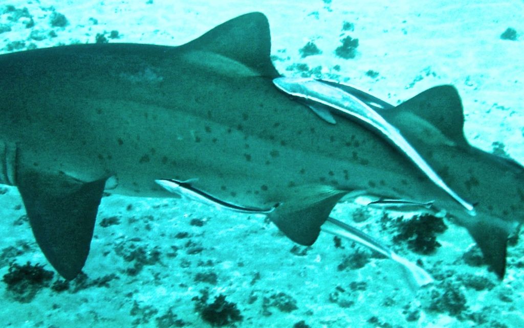 a0c46af5-d6f4-4226-b26b-6d40a7547c51