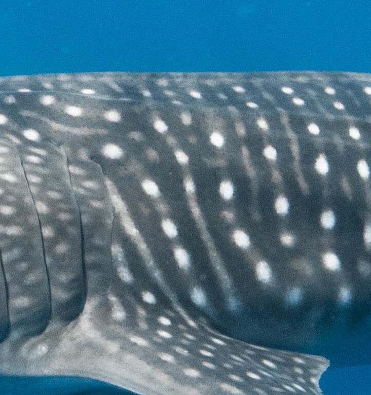 7e2df7e5-3368-404a-b8ac-698b5fc892ac