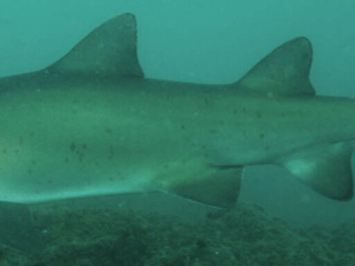 eb448765-952c-4ea9-83a0-4eedfa76251e