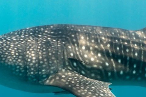 7d02c217-c372-4e33-a1eb-0313f9c606fe