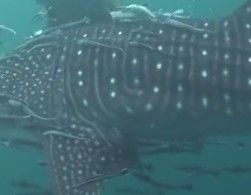 389f57a7-a1c5-4abd-9794-e518d0767ad1