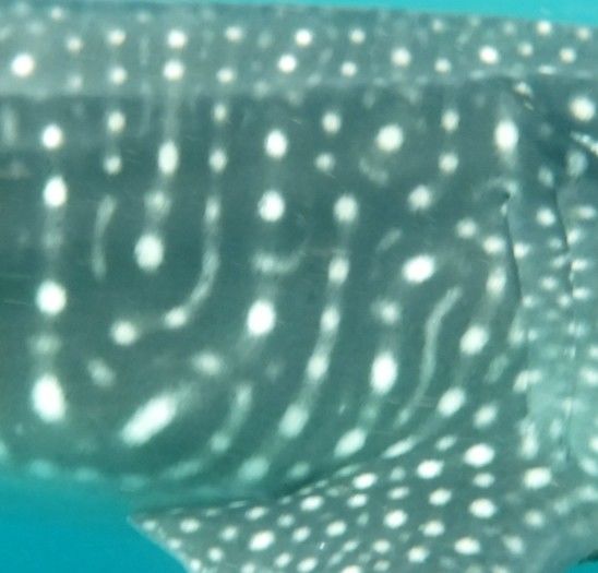 f4e15aff-c0fd-4baf-99f8-b5e7ceb73024