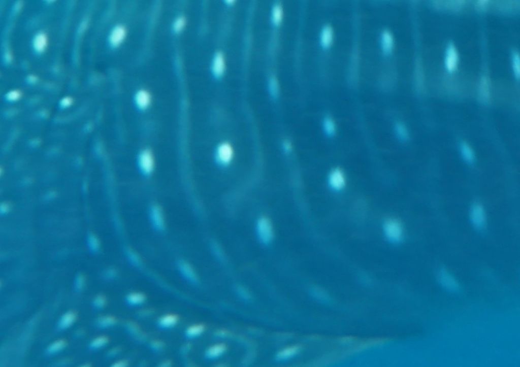 2a940deb-ee62-4938-b032-d12069b8531a