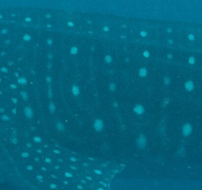 11214533-4123-4d81-a651-95b33ac8ffb6