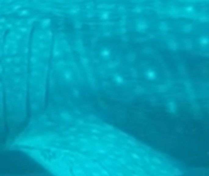 5b148832-8024-44c5-b1e4-a368865954b8