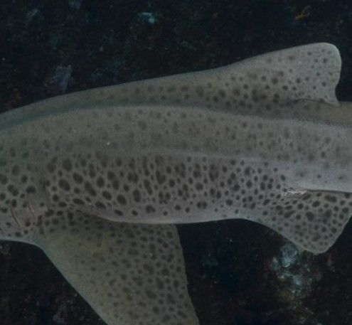 37cf8f6d-62a1-4290-abb0-7264ed74c90c