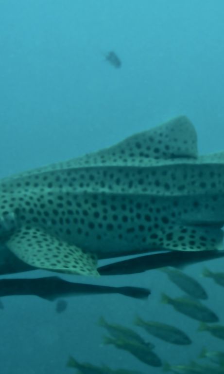 462d8520-e5f7-4ca5-aeee-f55d40f935ca