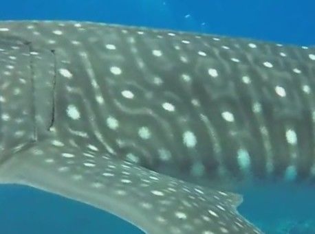 2d2f2fda-a71d-49ee-9c07-ed86159065b9