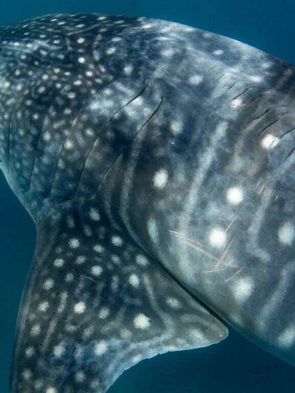 5e5c892e-5ec8-4225-9993-addd4d4148cc