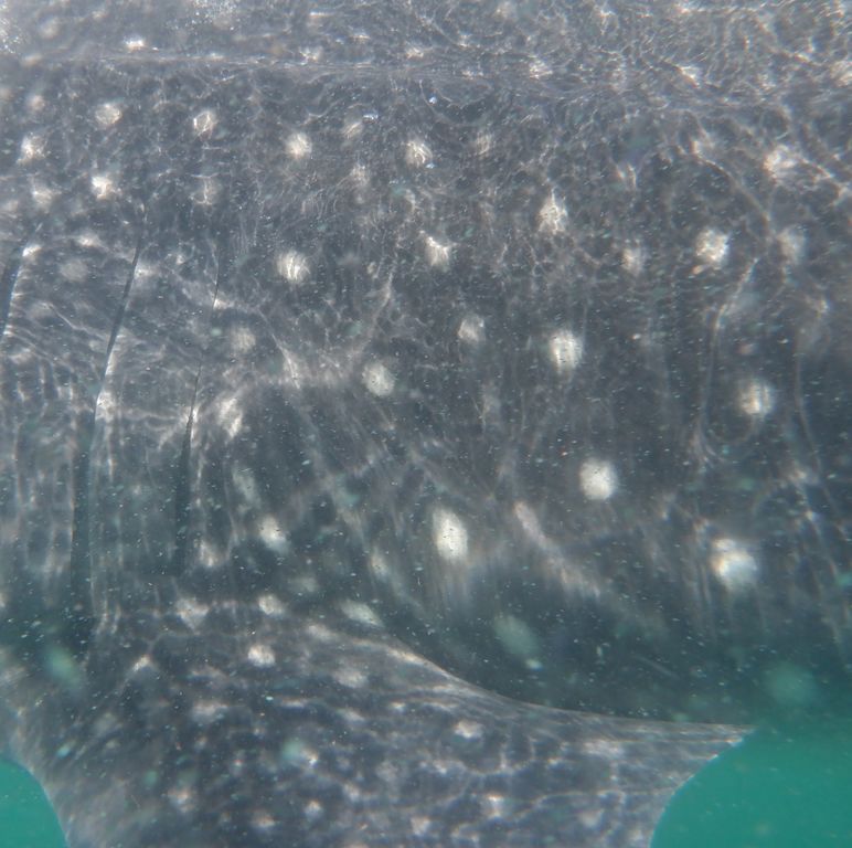 cc0f3188-70f3-4001-a19a-f4582780544a