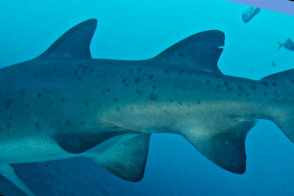 8c9955dd-20bc-4f35-b639-9ea9820a7789