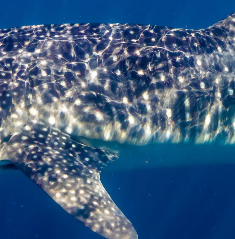 86795092-ad4c-4a64-9d92-f3ad3e3ce8a1