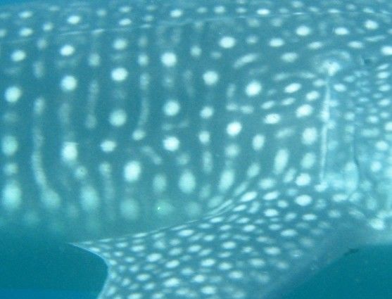 467238a0-06ac-4cc5-b5dc-f108034aef30