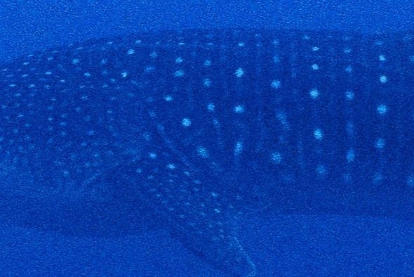 5d98e663-a6da-4b4f-939e-79af8de84f80