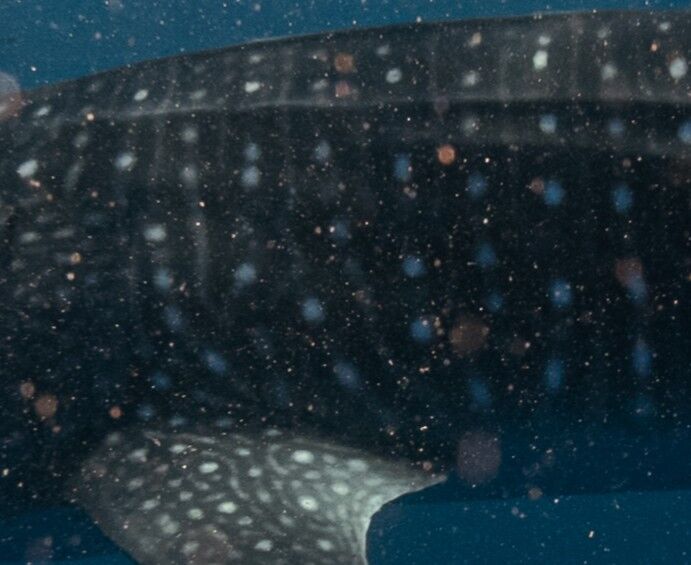 aa355165-0d11-47b1-bebc-166973da81d2