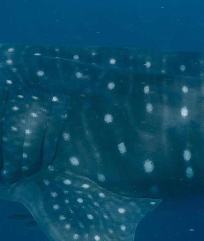 232c8b4a-fdc8-49d6-af19-461bbcc30deb