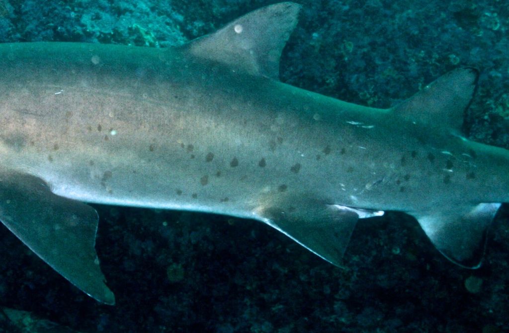 d5228917-4294-40fb-8876-531a42d4b2f5