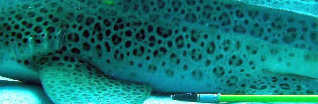 1757b7f8-37d6-481e-a506-9b61307b5044