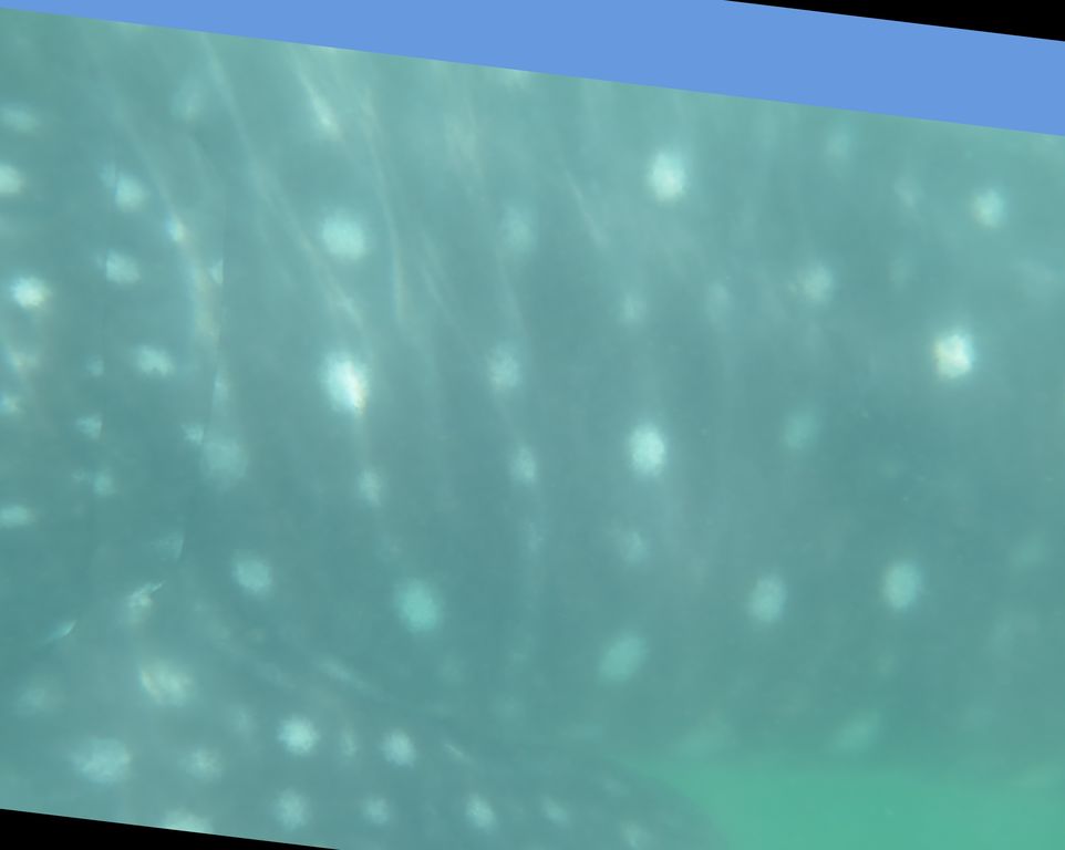 f464a1d9-74a1-4f20-b33e-018d5d1ed4e8