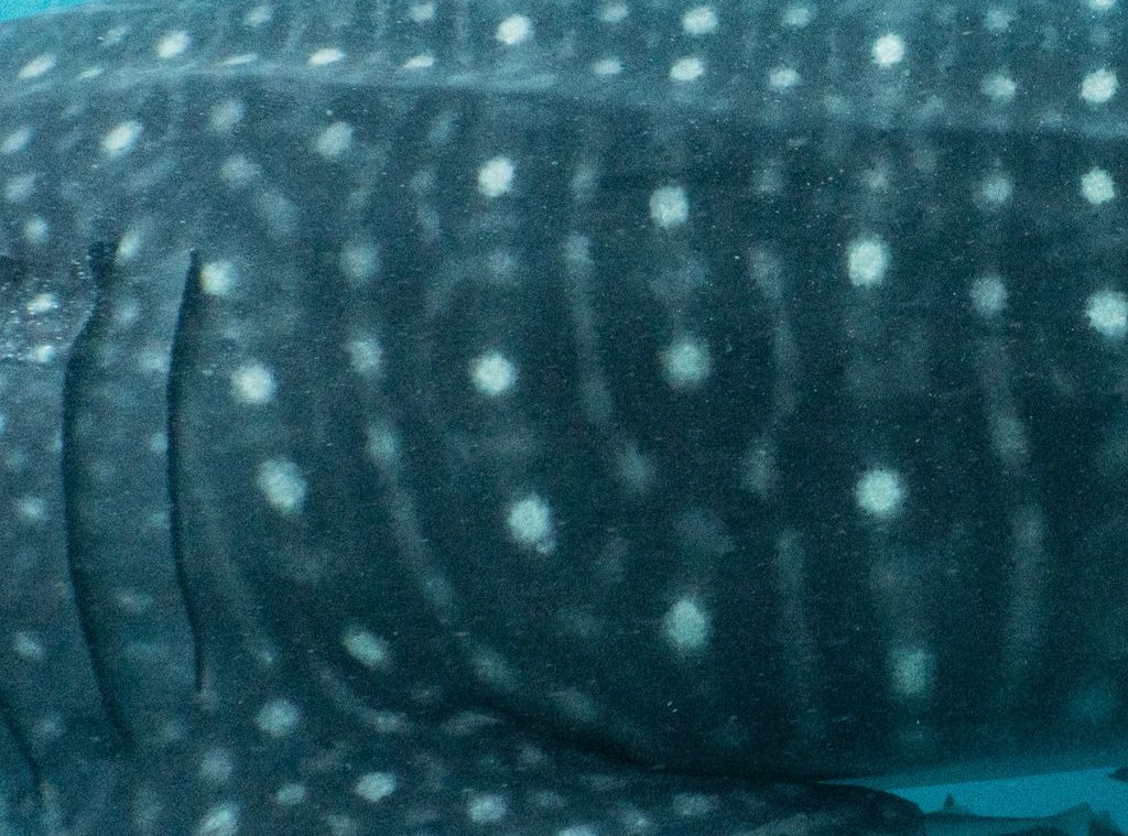 e86bca07-2ac6-4545-b0d5-b4ad01a0906e