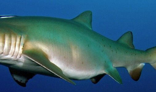 7c91a3d6-d607-4277-a967-ce2b6800fff7