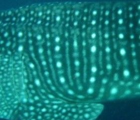 889935eb-dfb2-4d57-91a3-436e8dce957b