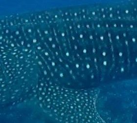 cc1f9ffb-189b-46eb-a571-613363cc5d47