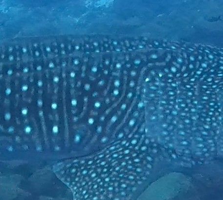 cc1f9ffb-189b-46eb-a571-613363cc5d47