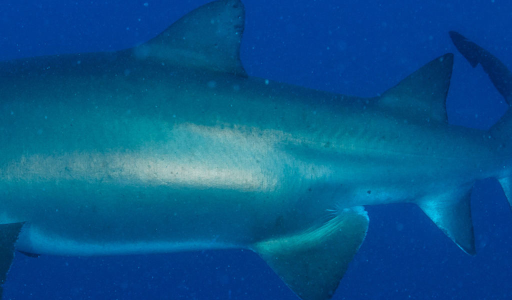 24fa040a-61a2-458c-a343-828b95541b8c