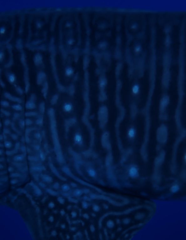 074a76bb-e038-40e8-9c9c-5db8472e766a