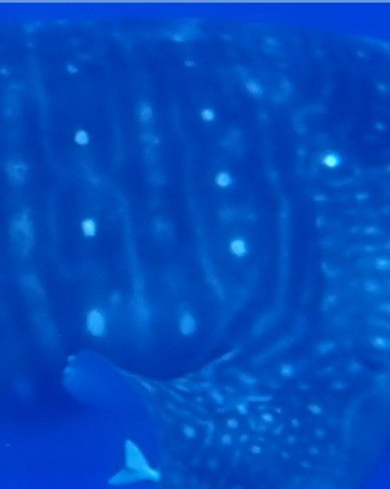 074a76bb-e038-40e8-9c9c-5db8472e766a