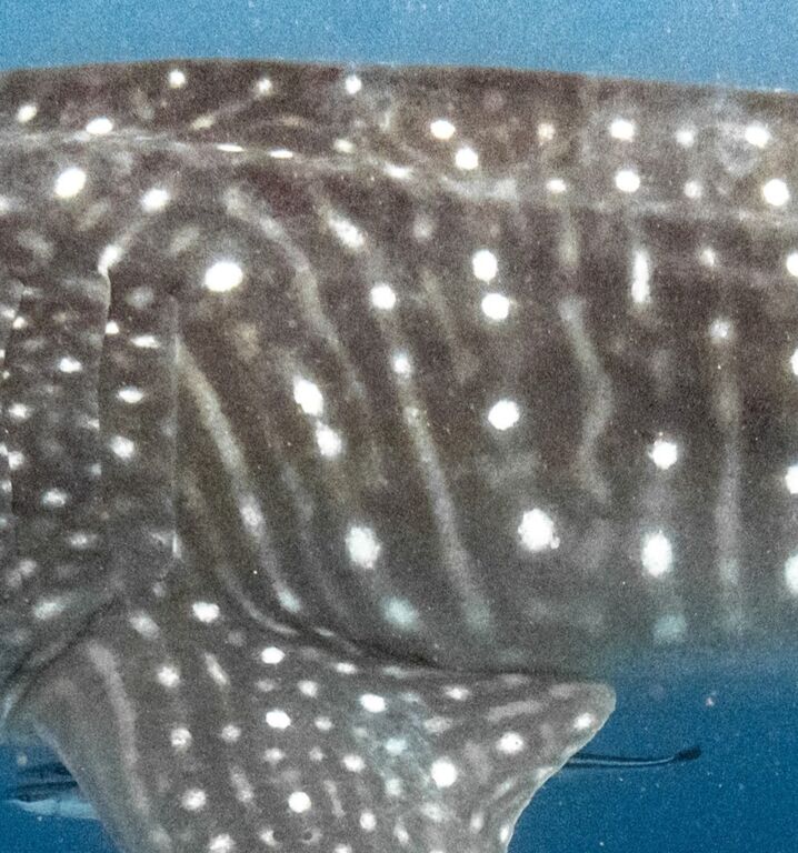 1735642b-1bf0-4ed0-a6fd-5168d83baf54