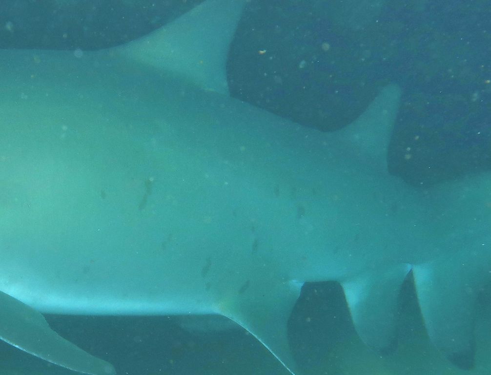 42473f04-c593-427c-adf9-396a4abb4089